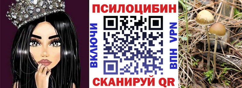 Псилоцибиновые грибы прущие грибы ОМГ ОМГ Красный Холм где можно купить